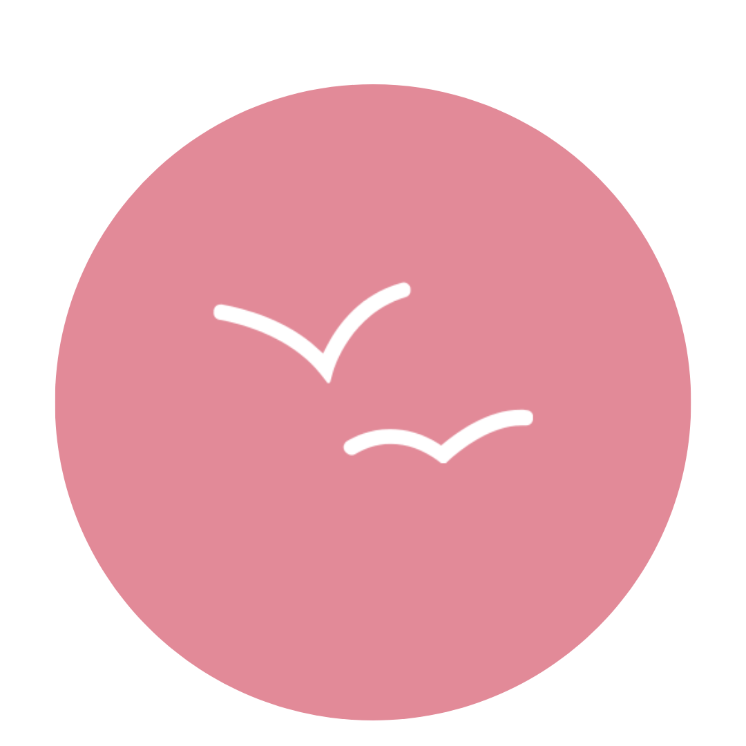 Ian Shanks oversees technology and systems at Freely homeschool Planner